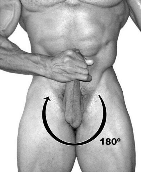 Exercicio de campá para a ampliación do pene