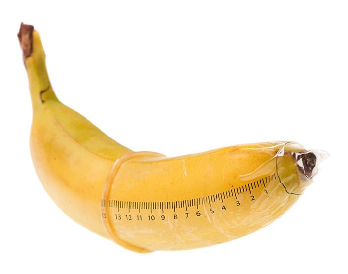 O tamaño óptimo dun pene erecto é de 10-16 cm